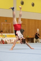 Thumbnail - Gabor Sutterlüty - Artistic Gymnastics - 2024 - Metropolcup Heidelberg - Teilnehmer - AK 15 und älter 02069_09192.jpg