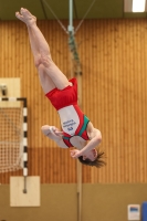 Thumbnail - AK 15 und älter - Спортивная гимнастика - 2024 - Metropolcup Heidelberg - Teilnehmer 02069_09221.jpg