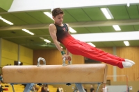 Thumbnail - German Chebotarev - Artistic Gymnastics - 2024 - Metropolcup Heidelberg - Teilnehmer - AK 15 und älter 02069_09407.jpg