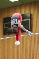 Thumbnail - German Chebotarev - Artistic Gymnastics - 2024 - Metropolcup Heidelberg - Teilnehmer - AK 15 und älter 02069_09593.jpg