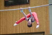 Thumbnail - German Chebotarev - Artistic Gymnastics - 2024 - Metropolcup Heidelberg - Teilnehmer - AK 15 und älter 02069_09599.jpg