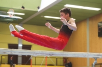 Thumbnail - German Chebotarev - Спортивная гимнастика - 2024 - Metropolcup Heidelberg - Teilnehmer - AK 15 und älter 02069_09788.jpg