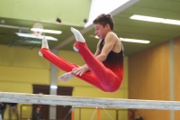 Thumbnail - German Chebotarev - Спортивная гимнастика - 2024 - Metropolcup Heidelberg - Teilnehmer - AK 15 und älter 02069_09790.jpg