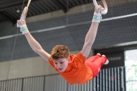 Thumbnail - GER - Georg Gottfried - Gymnastique Artistique - 2024 - 10th ZAG-Cup Hannover - Participants - Age Classes 13 and 14 02070_04878.jpg