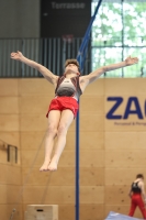 Thumbnail - GER - Georg Gottfried - Artistic Gymnastics - 2024 - 10th ZAG-Cup Hannover - Participants - Age Classes 13 and 14 02070_05219.jpg