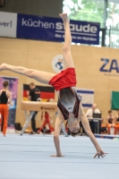 Thumbnail - GER - Georg Gottfried - Gymnastique Artistique - 2024 - 10th ZAG-Cup Hannover - Participants - Age Classes 13 and 14 02070_05223.jpg