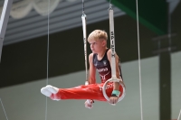 Thumbnail - Bayern - Adrian Gross - Artistic Gymnastics - 2024 - DJM Biedenkopf - Participants - Age Class 12 02072_00810.jpg