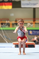 Thumbnail - Hessen - Cooper Fuckner - Artistic Gymnastics - 2024 - DJM Biedenkopf - Participants - Age Class 12 02072_03560.jpg