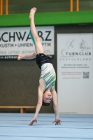 Thumbnail - Sachsen-Anhalt - Erik Böhm - Ginnastica Artistica - 2024 - DJM Biedenkopf - Participants - Age Class 12 02072_04610.jpg