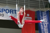 Thumbnail - Brandenburg - Emil Neumann - Ginnastica Artistica - 2024 - DJM Biedenkopf - Participants - Age Class 12 02072_05328.jpg