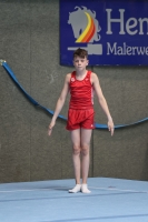 Thumbnail - Brandenburg - Emil Neumann - Artistic Gymnastics - 2024 - DJM Biedenkopf - Participants - Age Class 12 02072_06008.jpg