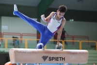 Thumbnail - Niedersachsen - Gabriel Petcu - Gymnastique Artistique - 2024 - DJM Biedenkopf - Participants - Age Class 12 02072_06068.jpg