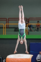 Thumbnail - Niedersachsen - Jonte Will - Gymnastique Artistique - 2024 - DJM Biedenkopf - Participants - Age Class 13 and 14 02072_13887.jpg