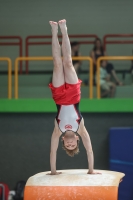 Thumbnail - Hessen - Claudius Wiegand - Ginnastica Artistica - 2024 - DJM Biedenkopf - Participants - Age Class 13 and 14 02072_14308.jpg