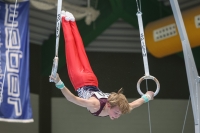 Thumbnail - Hamburg - Jonas Kirsch - Gymnastique Artistique - 2024 - DJM Biedenkopf - Participants - Age Class 13 and 14 02072_14902.jpg