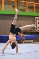 Thumbnail - Age Class 15 and 16 - Ginnastica Artistica - 2024 - DJM Biedenkopf - Participants 02072_15541.jpg