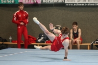 Thumbnail - Brandenburg - Noah Beetz - Ginnastica Artistica - 2024 - DJM Biedenkopf - Participants - Age Class 15 and 16 02072_16238.jpg