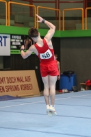 Thumbnail - Brandenburg - Noah Beetz - Artistic Gymnastics - 2024 - DJM Biedenkopf - Participants - Age Class 15 and 16 02072_16271.jpg