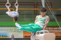 Thumbnail - Sachsen-Anhalt - Joshua Tandel - Ginnastica Artistica - 2024 - DJM Biedenkopf - Participants - Age Class 15 and 16 02072_16467.jpg