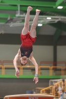 Thumbnail - Berlin - German Chebotarev - Ginnastica Artistica - 2024 - DJM Biedenkopf - Participants - Age Class 15 and 16 02072_18590.jpg