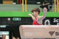 Thumbnail - Brandenburg - Anton Gerards - Artistic Gymnastics - 2024 - DJM Biedenkopf - Participants - Age Class 15 and 16 02072_19492.jpg