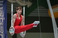 Thumbnail - Brandenburg - Davyd Alshanov - Ginnastica Artistica - 2024 - DJM Biedenkopf - Participants - Age Class 15 and 16 02072_19565.jpg