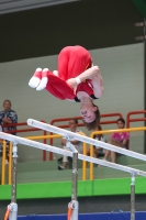 Thumbnail - Bayern - Tom Meier - Gymnastique Artistique - 2024 - DJM Biedenkopf - Participants - Age Class 15 and 16 02072_19686.jpg