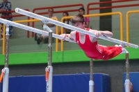 Thumbnail - Brandenburg - Davyd Alshanov - Ginnastica Artistica - 2024 - DJM Biedenkopf - Participants - Age Class 15 and 16 02072_19724.jpg