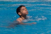 Thumbnail - Boys D - Teodor Stefan - Plongeon - 2017 - 8. Sofia Diving Cup - Participants - Rumänien 03012_00548.jpg