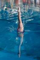 Thumbnail - Russland - Girls - Plongeon - 2017 - 8. Sofia Diving Cup - Participants 03012_01938.jpg