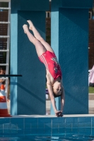 Thumbnail - Girls D - Ekaterina - Прыжки в воду - 2017 - 8. Sofia Diving Cup - Participants - Russland - Girls 03012_02449.jpg