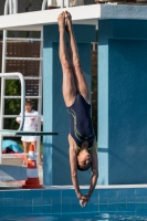 Thumbnail - Rumänien - Diving Sports - 2017 - 8. Sofia Diving Cup - Participants 03012_02548.jpg