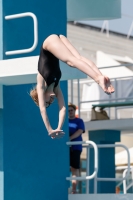 Thumbnail - Girls C - Darya - Plongeon - 2017 - 8. Sofia Diving Cup - Participants - Russland - Girls 03012_03094.jpg