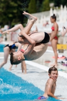Thumbnail - Grossbritannien - Boys - Wasserspringen - 2017 - 8. Sofia Diving Cup - Teilnehmer 03012_04054.jpg