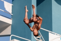 Thumbnail - Boys B - Joseph Pashley - Diving Sports - 2017 - 8. Sofia Diving Cup - Participants - Grossbritannien - Boys 03012_07804.jpg