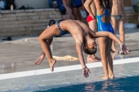 Thumbnail - Participants - Прыжки в воду - 2017 - 8. Sofia Diving Cup 03012_08153.jpg