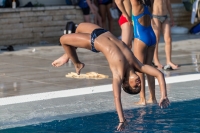 Thumbnail - Participants - Прыжки в воду - 2017 - 8. Sofia Diving Cup 03012_08154.jpg