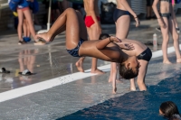 Thumbnail - Participants - Прыжки в воду - 2017 - 8. Sofia Diving Cup 03012_08165.jpg