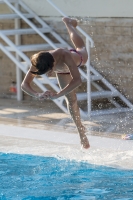 Thumbnail - Participants - Прыжки в воду - 2017 - 8. Sofia Diving Cup 03012_08210.jpg