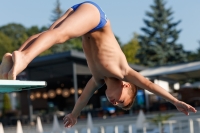 Thumbnail - Boys D - Vadym - Прыжки в воду - 2017 - 8. Sofia Diving Cup - Participants - Ukraine 03012_08312.jpg