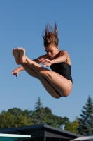 Thumbnail - Participants - Прыжки в воду - 2017 - 8. Sofia Diving Cup 03012_08327.jpg