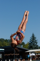 Thumbnail - Participants - Plongeon - 2017 - 8. Sofia Diving Cup 03012_08875.jpg