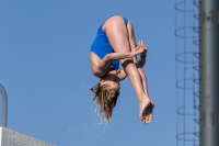 Thumbnail - Girls C - Thalea - Прыжки в воду - 2017 - 8. Sofia Diving Cup - Participants - Deutschland 03012_08940.jpg