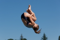 Thumbnail - Girls D - Simoni - Прыжки в воду - 2017 - 8. Sofia Diving Cup - Participants - Griechenland 03012_09026.jpg