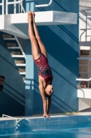 Thumbnail - Participants - Plongeon - 2017 - 8. Sofia Diving Cup 03012_09188.jpg