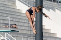 Thumbnail - Girls D - Simoni - Diving Sports - 2017 - 8. Sofia Diving Cup - Participants - Griechenland 03012_09224.jpg