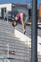 Thumbnail - Girls D - Brooke - Wasserspringen - 2017 - 8. Sofia Diving Cup - Teilnehmer - Grossbritannien - Girls 03012_09280.jpg