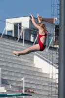 Thumbnail - Girls D - Julianna - Прыжки в воду - 2017 - 8. Sofia Diving Cup - Participants - Finnland 03012_09328.jpg