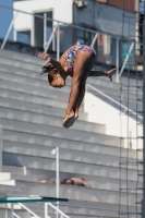 Thumbnail - Participants - Tuffi Sport - 2017 - 8. Sofia Diving Cup 03012_09348.jpg