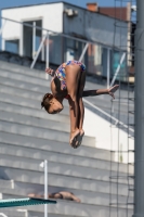 Thumbnail - Participants - Plongeon - 2017 - 8. Sofia Diving Cup 03012_09349.jpg